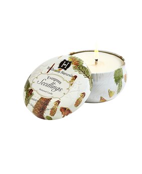 Evergreen Seedlings Candle Tin 6.5 oz by Hillhouse Naturals