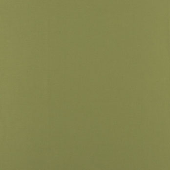 Hepworth Solid Green Fabric