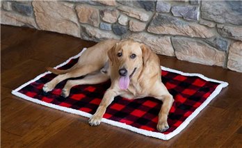 Dog Blankets