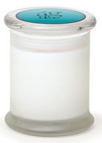 Archipelago Agave Frosted Jar Candle