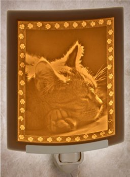 Kitten Dreams Night Light by Porcelain Garden