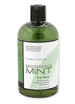 Archipelago Morning Mint 17 oz. Body Wash