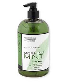 Archipelago Morning Mint Hand Wash