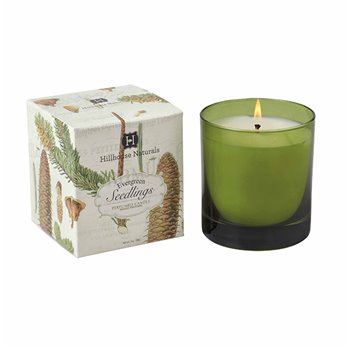 Evergreen Seedlings Candle Glass W/Silver Lid 7 oz by Hillhouse Naturals