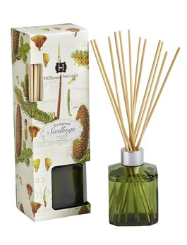 Evergreen Seedlings Diffuser Bottle 6 oz by Hillhouse Naturals