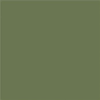 Cayman Green Solid Fabric (Non-Returnable)