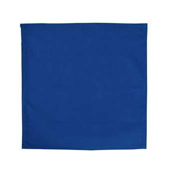 Bouvier Blue Set of 4 Napkins - Blue