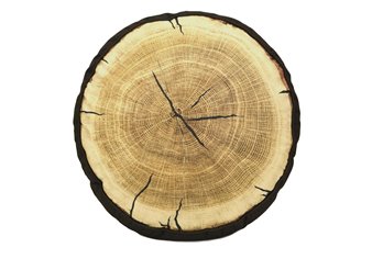 Painted Bear "Tree Ring" Decorative Pillow