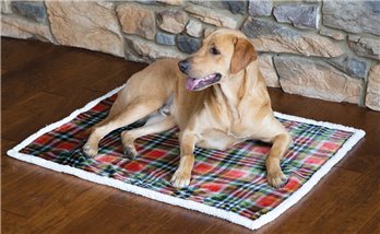 Rust and Sage Plaid L/XL - White sherpa Dog Blanket
