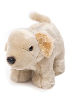 Carstens Plush Yellow Lab Dog Coin Bank