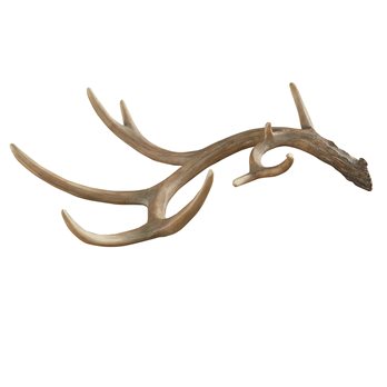 Antler Decor