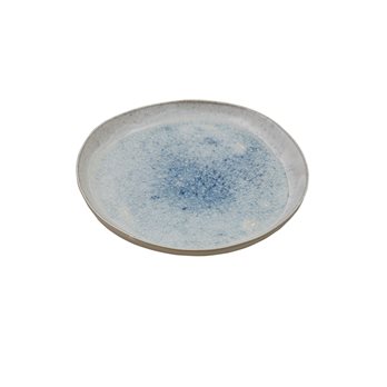 Blue Speckled Plate