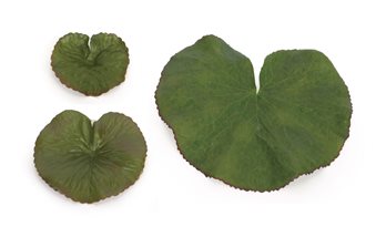 Assorted Bag of Leaves Filler (Set of 12)