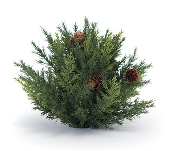 Winter Arborvitae Foliage Half Orb (Set of 2)