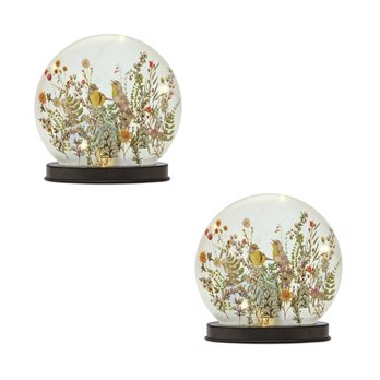 LED Frosted Glass Bird and Floral Globe (Set of 2)