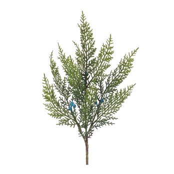 Variegated Juniper Spray (Set of 12)
