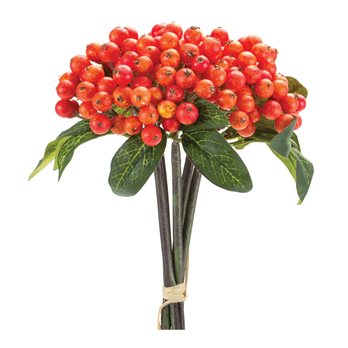 Cranberry Bundle (Set of 6)