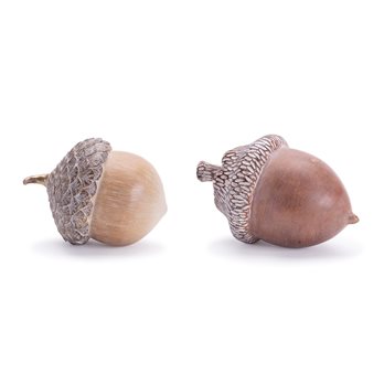 Etched Acron Decor (Set of 2)