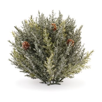 Icy Winter Pine Half Orb (Set of 2)