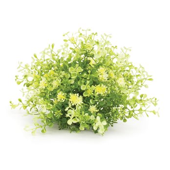 Mini Leaf Foliage Half Orb (Set of 2)