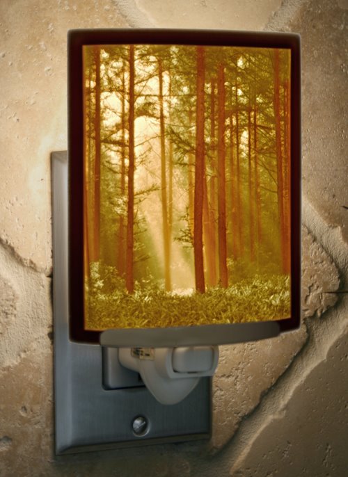 Woodland Sunbeam Colored Night Light by The Porcelain Garden