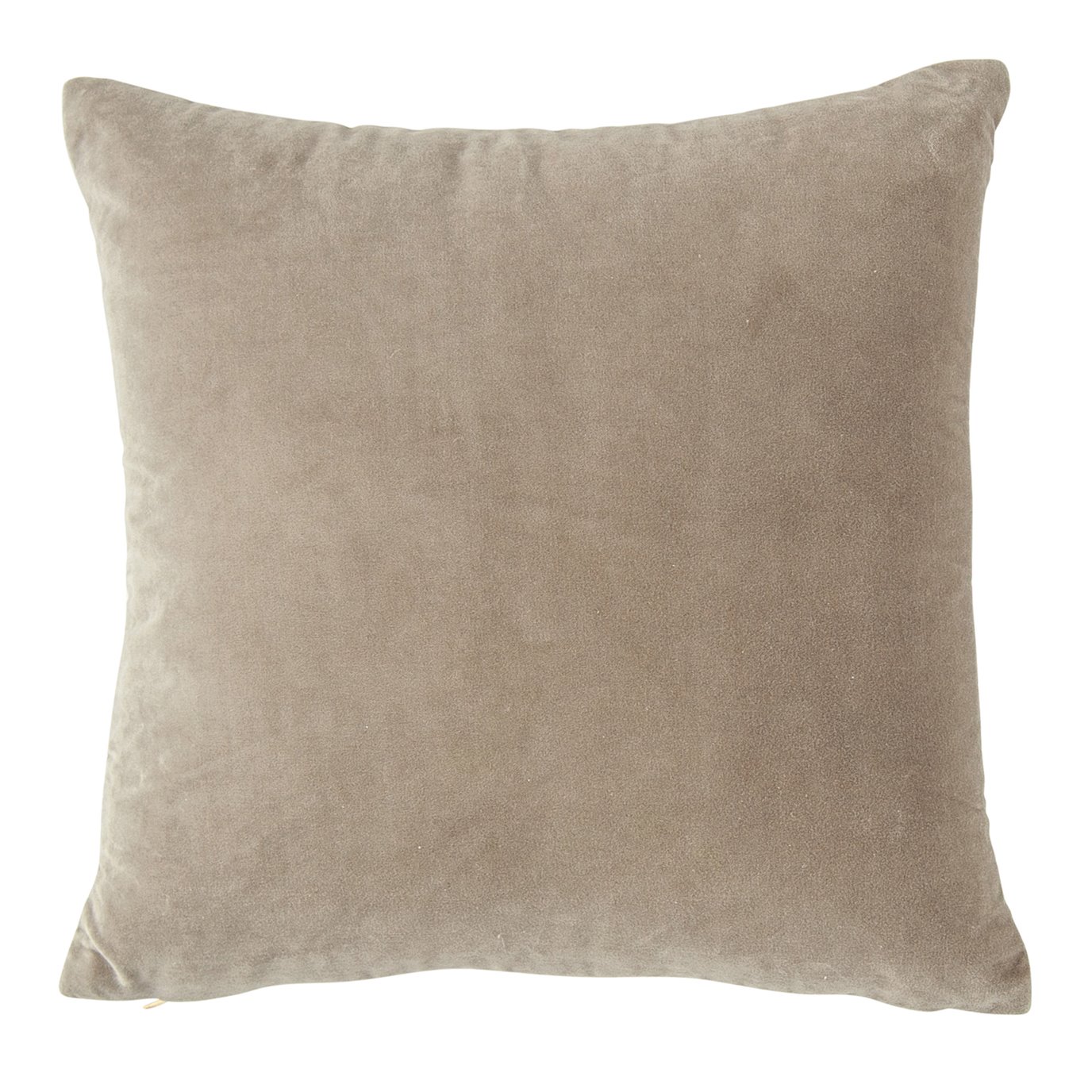 Square Grey Cotton Velvet Pillow with Cream Back