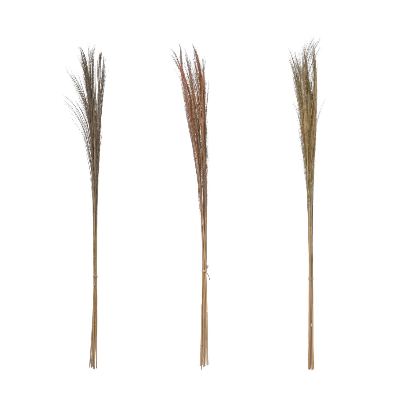 55"H Dried Natural Feather Grass Bunch (Set of 3 Colors)