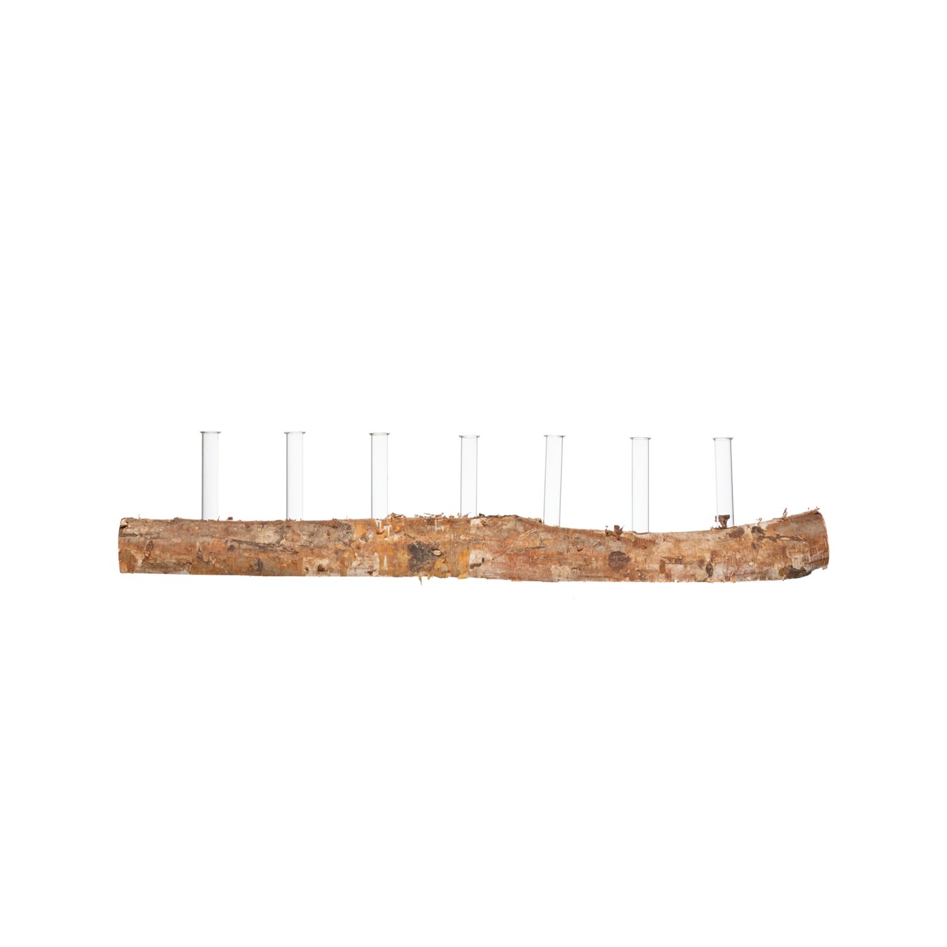 7 Glass Tube Vases on Birch Wood Log Base (Set of 8 Pieces/Each one will vary)