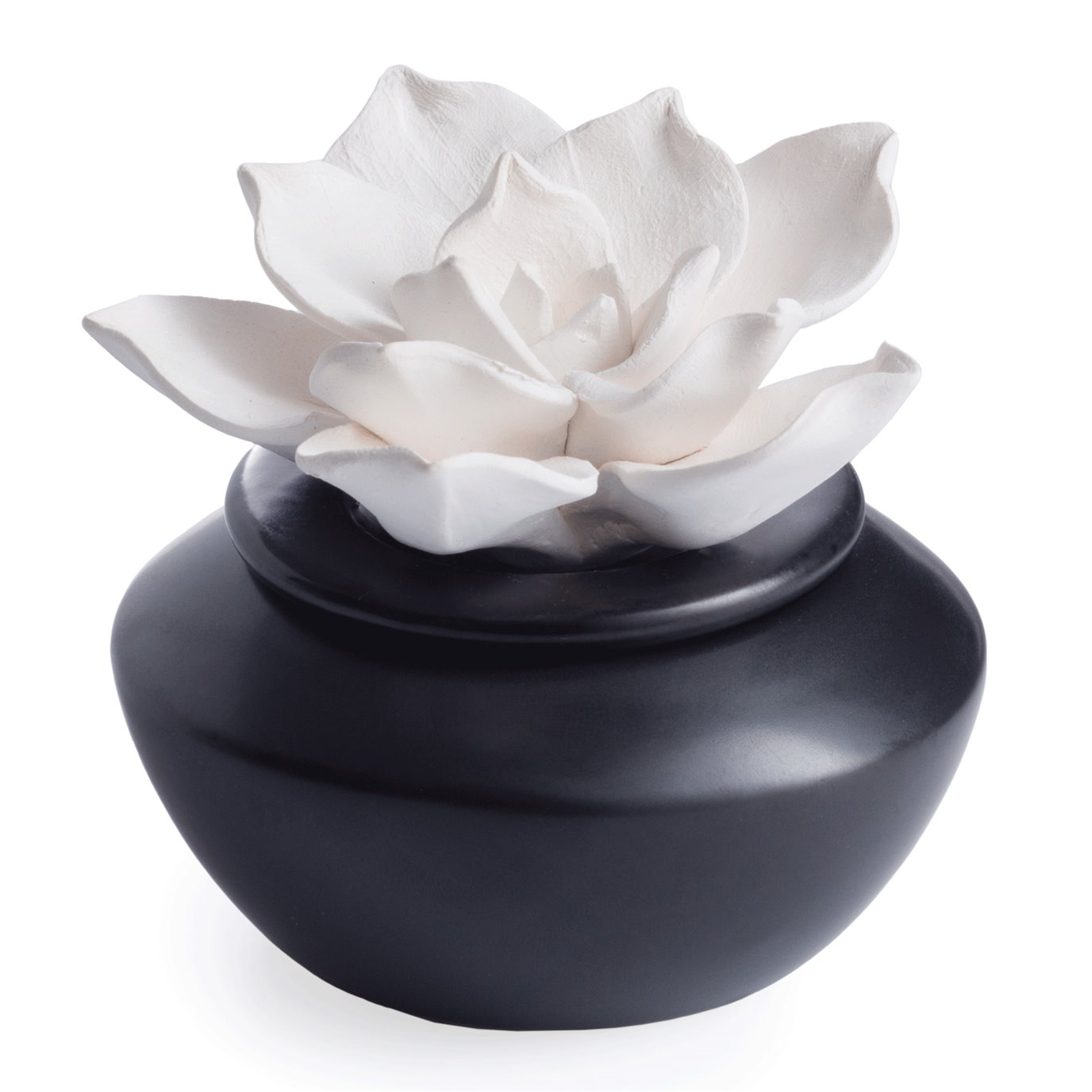 Gardenia Porcelain Aroma Oil Diffuser with Peppermint Essential Oil