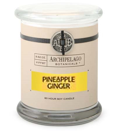 Archipelago Pineapple Ginger Jar Candle Thumbnail