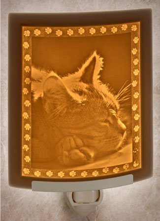 Kitten Dreams Night Light by Porcelain Garden Thumbnail