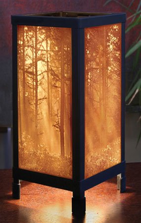 Woodland Sunbeam Luminaire by Porcelain Garden Thumbnail