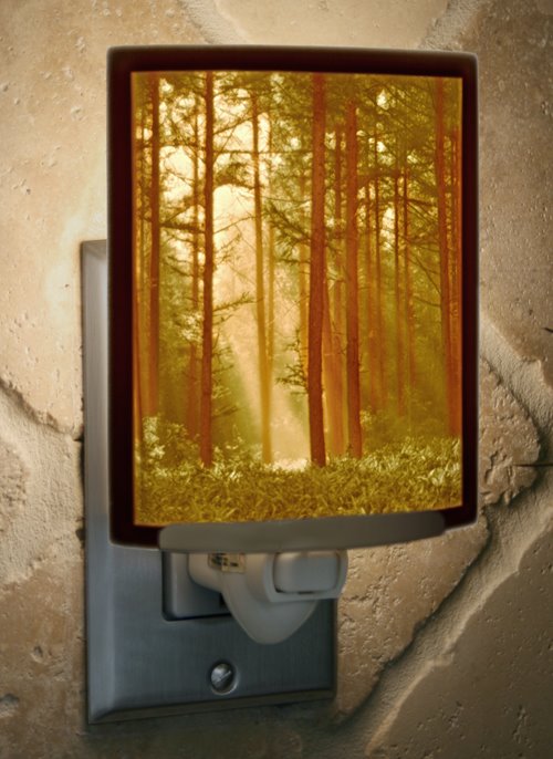 Woodland Sunbeam Colored Night Light by The Porcelain Garden Thumbnail