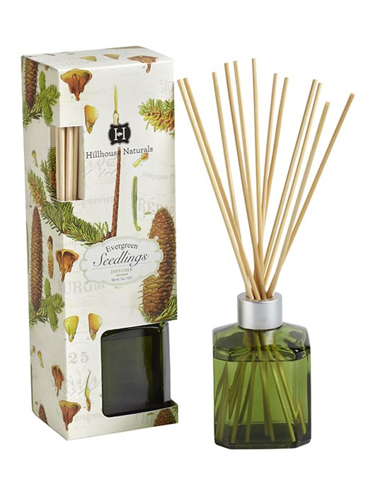 Evergreen Seedlings Diffuser Bottle 6 oz by Hillhouse Naturals Thumbnail