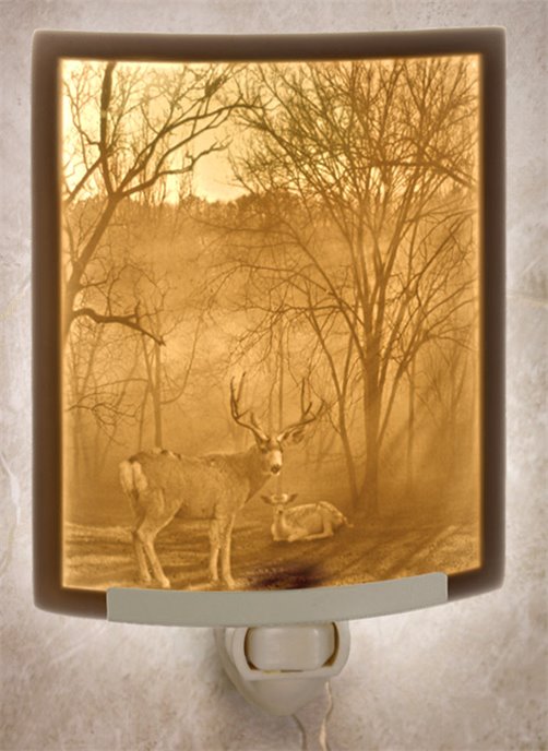 Peaceful Dawn Night Light by Porcelain Garden Thumbnail