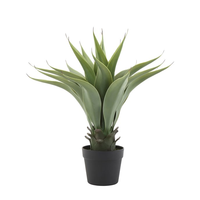 Faux Agave Plant in Pot Thumbnail