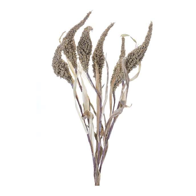 Seeded Harvest Bush (Set of 6) Thumbnail