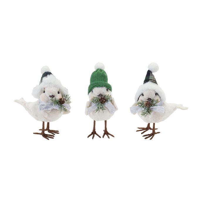 Winter Bird with Hat and Pine Accent (Set of 6) Thumbnail