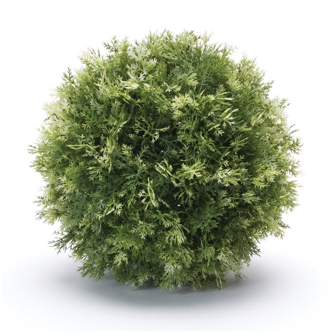 Foliage Half Orb (Set of 2) Thumbnail