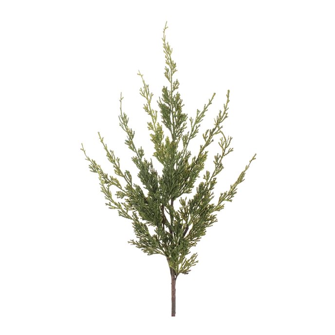 Variegated Pine Spray (Set of 6) Thumbnail
